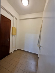 Cavenagh Lodge (D9), Apartment #622772351